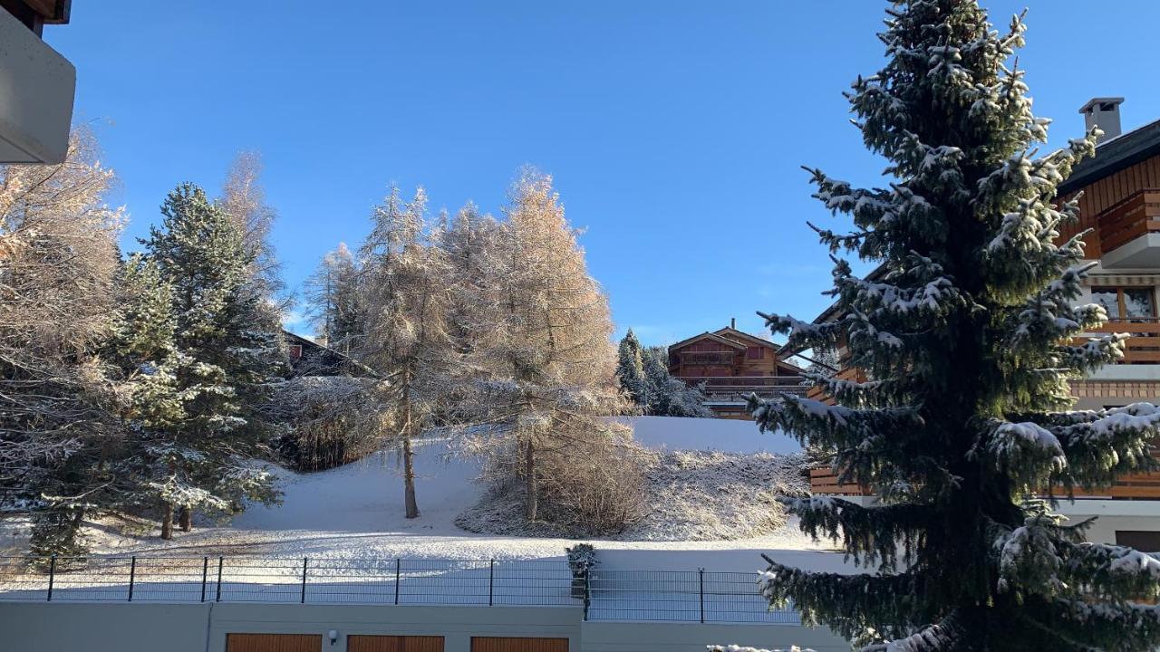 Ferienwohnung La Jacinthe De Crans Exterior foto